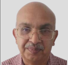 Committee Member